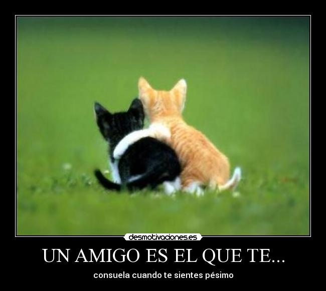 UN AMIGO ES EL QUE TE... -