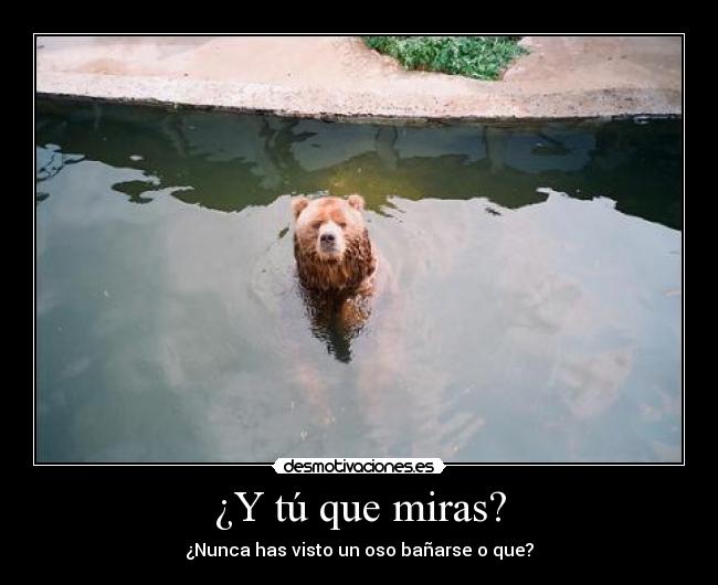 ¿Y tú que miras? - ¿Nunca has visto un oso bañarse o que?