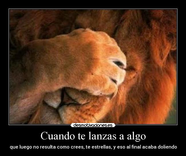 Cuando te lanzas a algo - que luego no resulta como crees, te estrellas, y eso al final acaba doliendo