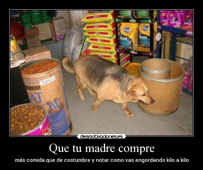 carteles madre eften perrosmolanmasquegatos desmotivaciones