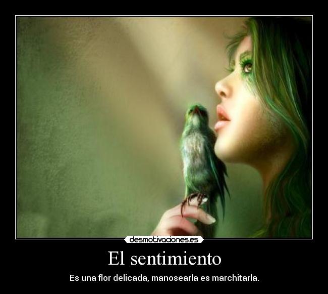 El sentimiento - Es una flor delicada, manosearla es marchitarla.