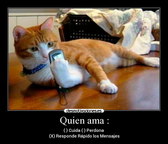 Quien ama : - ( ) Cuida ( ) Perdona
(X) Responde Rápido los Mensajes