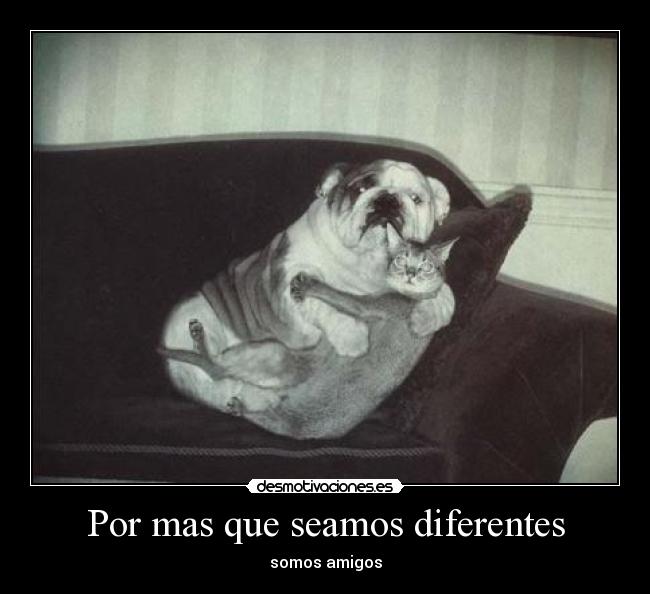 Por mas que seamos diferentes - somos amigos
