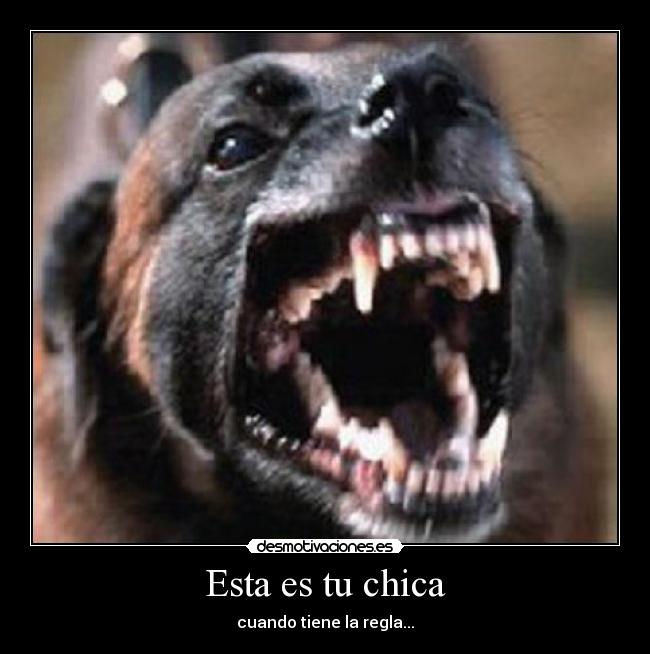 Esta es tu chica - cuando tiene la regla...