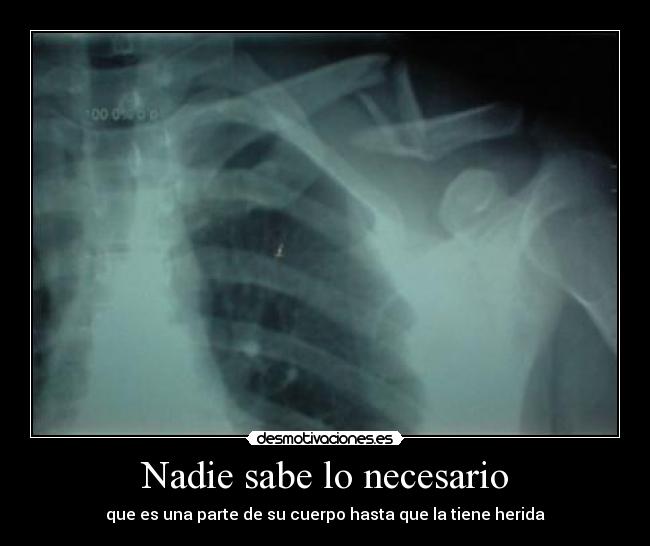 Nadie sabe lo necesario -