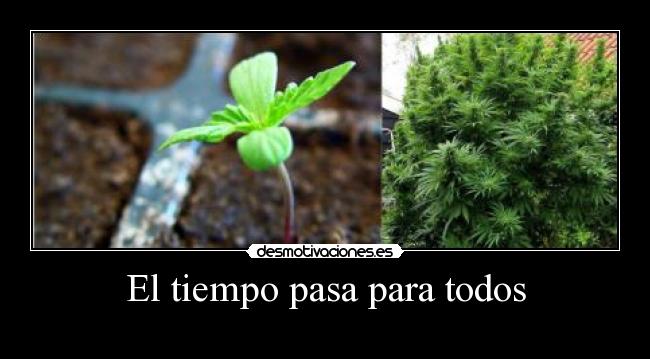 El tiempo pasa para todos -
