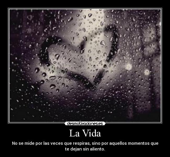 La Vida - 