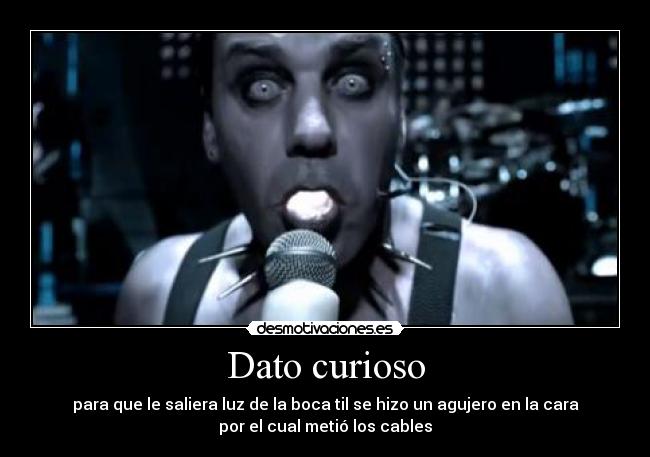 Dato curioso - 