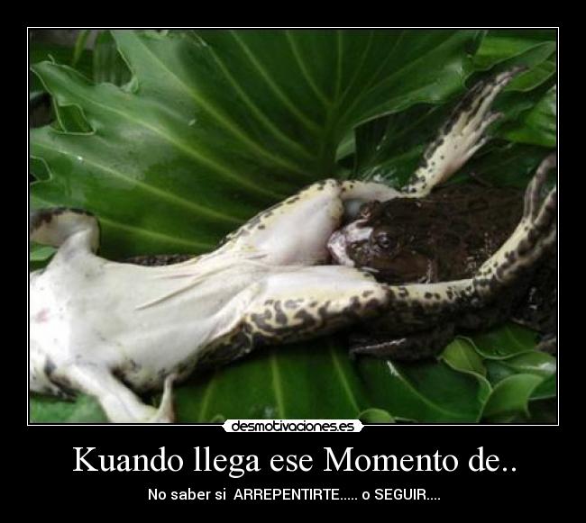 carteles vrenda moctezuma desmotivaciones