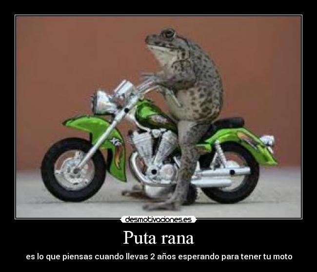 carteles rana moto desmotivaciones