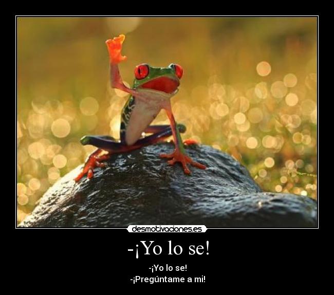-¡Yo lo se! - 