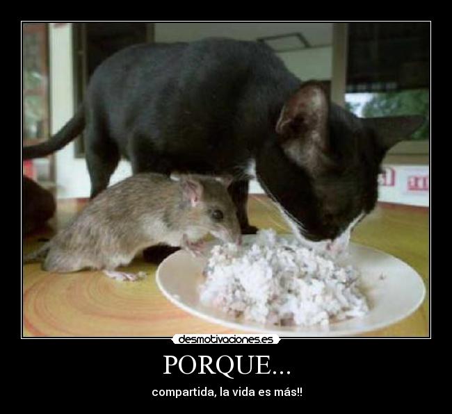 PORQUE... -