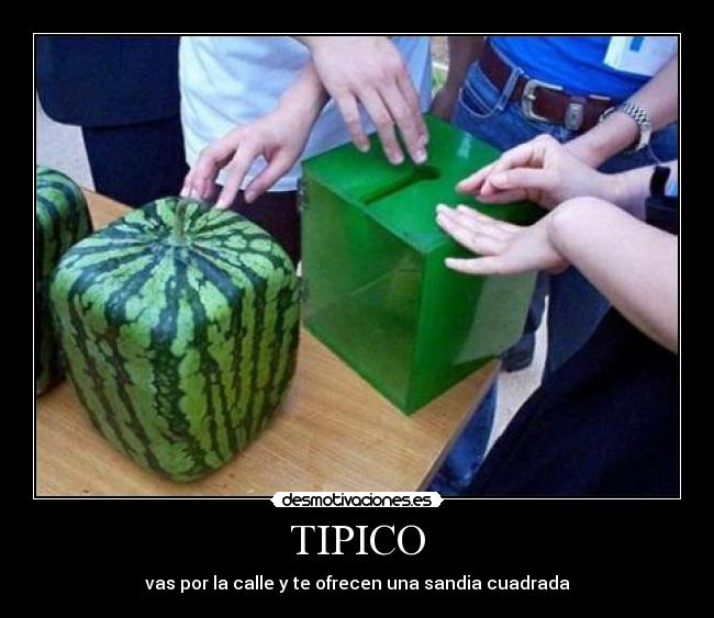 carteles tipico sandia desmotivaciones