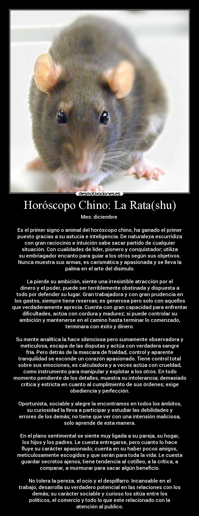 Horóscopo Chino: La Rata(shu) - Mes: diciembre 

Es el primer signo o animal del horóscopo chino, ha ganado el primer
puesto gracias a su astucia e inteligencia. De naturaleza escurridiza
con gran raciocinio e intuición sabe sacar partido de cualquier
situación. Con cualidades de líder, pionero y conquistador; utiliza
su embriagador encanto para guiar a los otros según sus objetivos.
Nunca muestra sus armas, es carismática y apasionada y se lleva la
palma en el arte del disimulo.

La pierde su ambición, siente una irresistible atracción por el
dinero y el poder, puede ser terriblemente obstinada y dispuesta a
todo por defender su lugar. Gran trabajadora y con gran prudencia en
los gastos, siempre tiene reservas; es generosa pero solo con aquellos
que verdaderamente aprecia. Cuenta con gran capacidad para enfrentar
dificultades, actúa con cordura y madurez; si puede controlar su
ambición y mantenerse en el camino hasta terminar lo comenzado,
terminara con éxito y dinero.

Su mente analítica la hace silenciosa pero sumamente observadora y
meticulosa, escapa de las disputas y actúa con verdadera sangre
fría. Pero detrás de la mascara de frialdad, control y aparente
tranquilidad se esconde un corazón apasionado. Tiene control total
sobre sus emociones, es calculadora y a veces actúa con crueldad,
como instrumento para manipular y explotar a los otros. En todo
momento pendiente de los detalles, muestra su intolerancia; demasiado
crítica y estricta en cuanto al cumplimiento de sus órdenes; exige
obediencia y perfección.

Oportunista, sociable y alegre la encontramos en todos los ámbitos,
su curiosidad la lleva a participar y estudiar las debilidades y
errores de los demás; no tiene que ver con una intensión maliciosa,
solo aprende de esta manera.

En el plano sentimental se siente muy ligada a su pareja, su hogar,
los hijos y los padres. Le cuesta entregarse, pero cuanto lo hace
fluye su carácter apasionado; cuenta en su haber pocos amigos,
meticulosamente escogidos y que serán para toda la vida. Le cuesta
guardar secretos ajenos, tiene tendencia al cotilleo, a la crítica, a
comparar, a murmurar para sacar algún beneficio.

No tolera la pereza, el ocio y el despilfarro. Incansable en el
trabajo, desarrolla su verdadero potencial en las relaciones con los
demás; su carácter sociable y curioso los sitúa entre los
políticos, el comercio y todo lo que este relacionado con la
atención al publico.