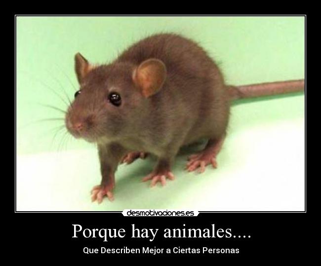 Porque hay animales.... - Que Describen Mejor a Ciertas Personas