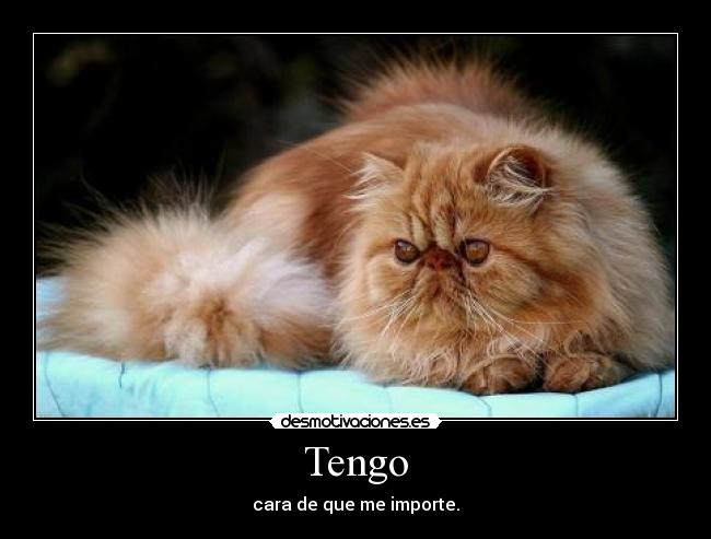 Tengo - cara de que me importe.