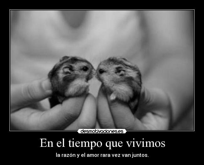 El ex marido bebe ofende que hacer