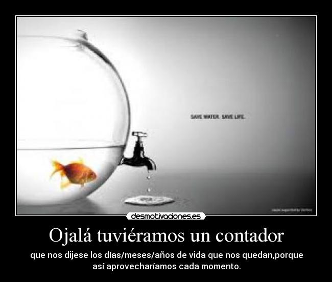 Ojalá tuviéramos un contador - que nos dijese los días/meses/años de vida que nos quedan,porque
así aprovecharíamos cada momento.