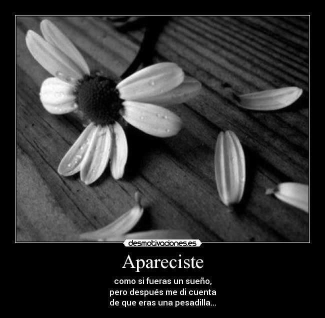 Apareciste - 