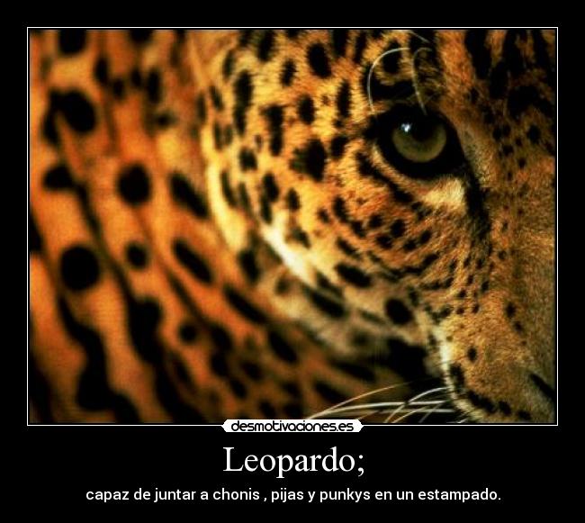 Leopardo; - capaz de juntar a chonis , pijas y punkys en un estampado.