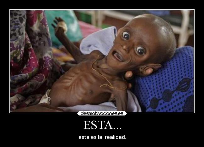 ESTA... - esta es la  realidad.