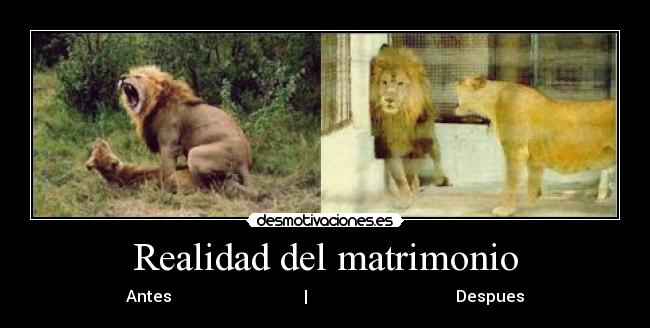 Realidad del matrimonio - Antes | Despues