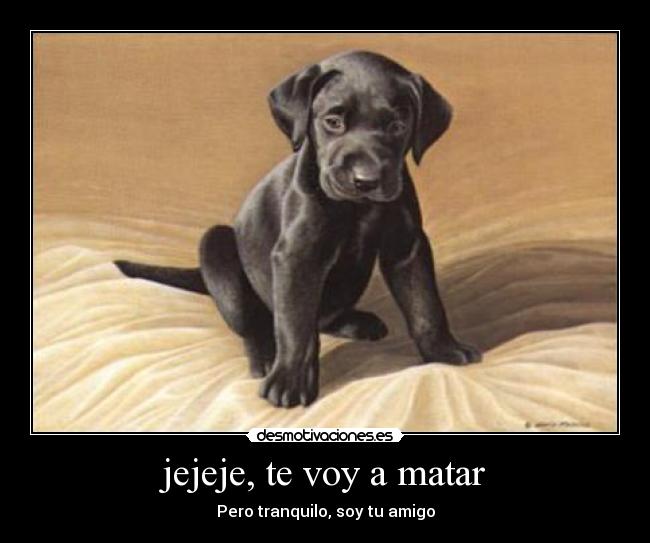 jejeje, te voy a matar - Pero tranquilo, soy tu amigo