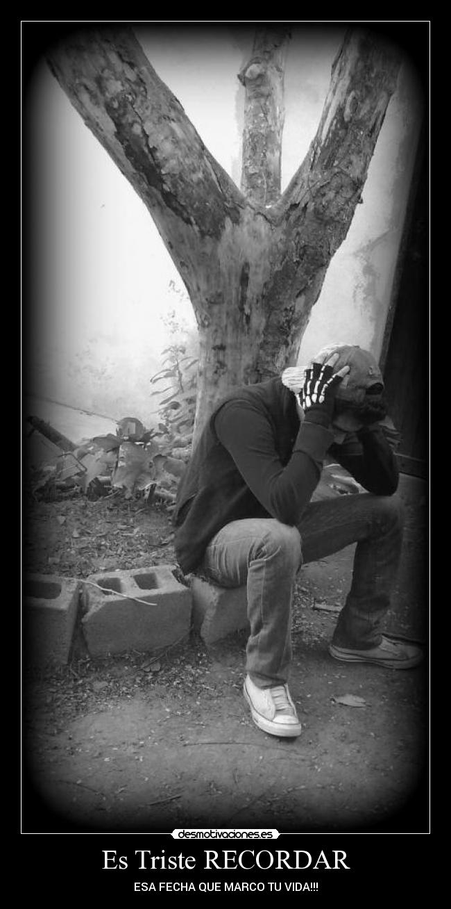 carteles daniiel reck daniiel ortiz desmotivaciones