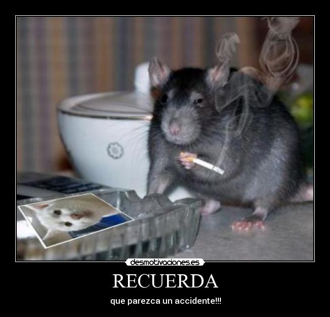 RECUERDA - que parezca un accidente!!!