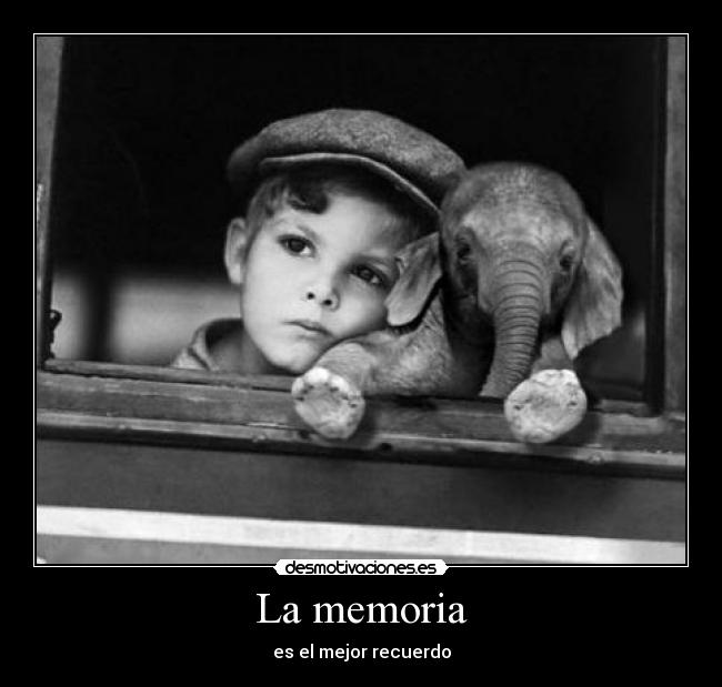 La memoria -