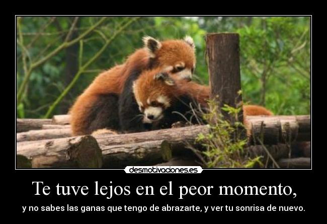 Te tuve lejos en el peor momento, - y no sabes las ganas que tengo de abrazarte, y ver tu sonrisa de nuevo.