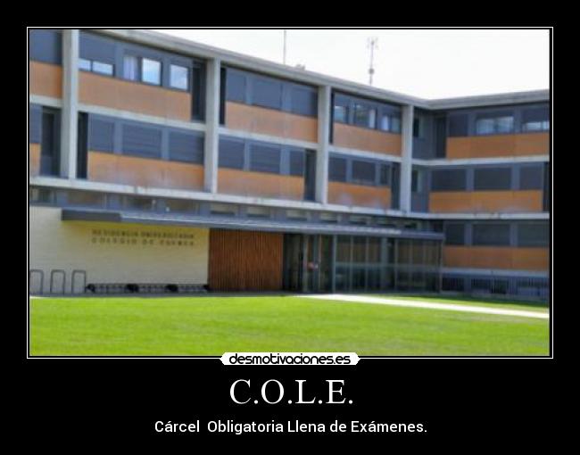 C.O.L.E. - Cárcel Obligatoria Llena de Exámenes.