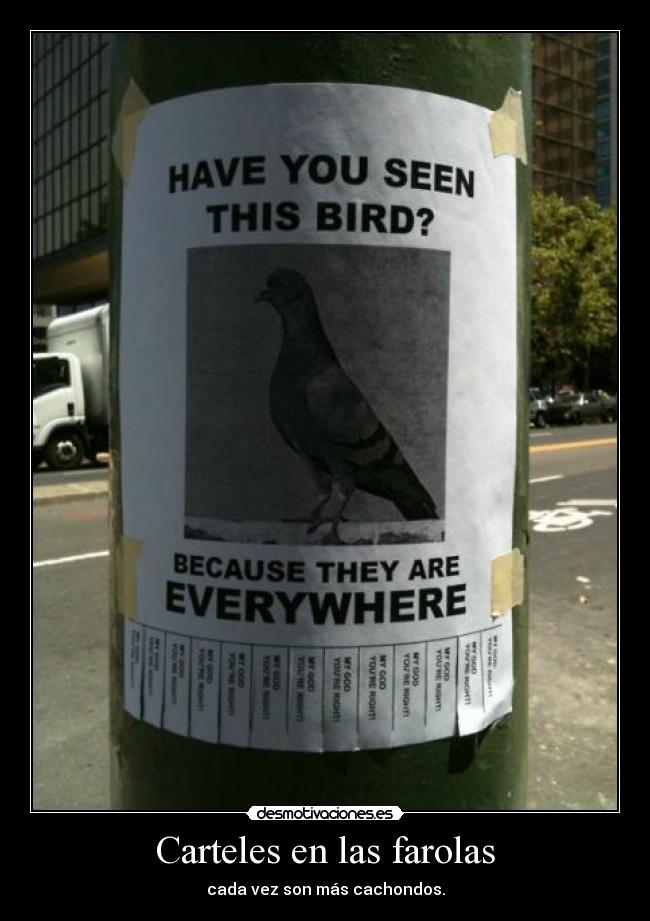 Carteles en las farolas - cada vez son más cachondos.