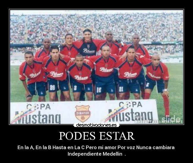 carteles dim desmotivaciones