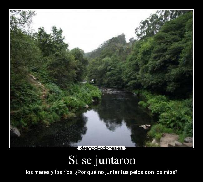 Si se juntaron -