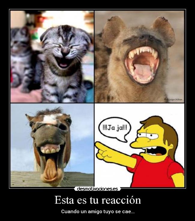 Esta es tu reacción - 