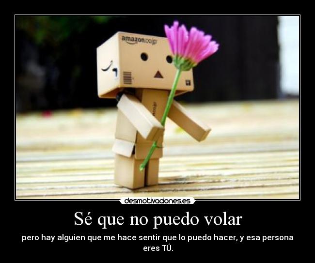 Sé que no puedo volar - pero hay alguien que me hace sentir que lo puedo hacer, y esa persona eres TÚ.