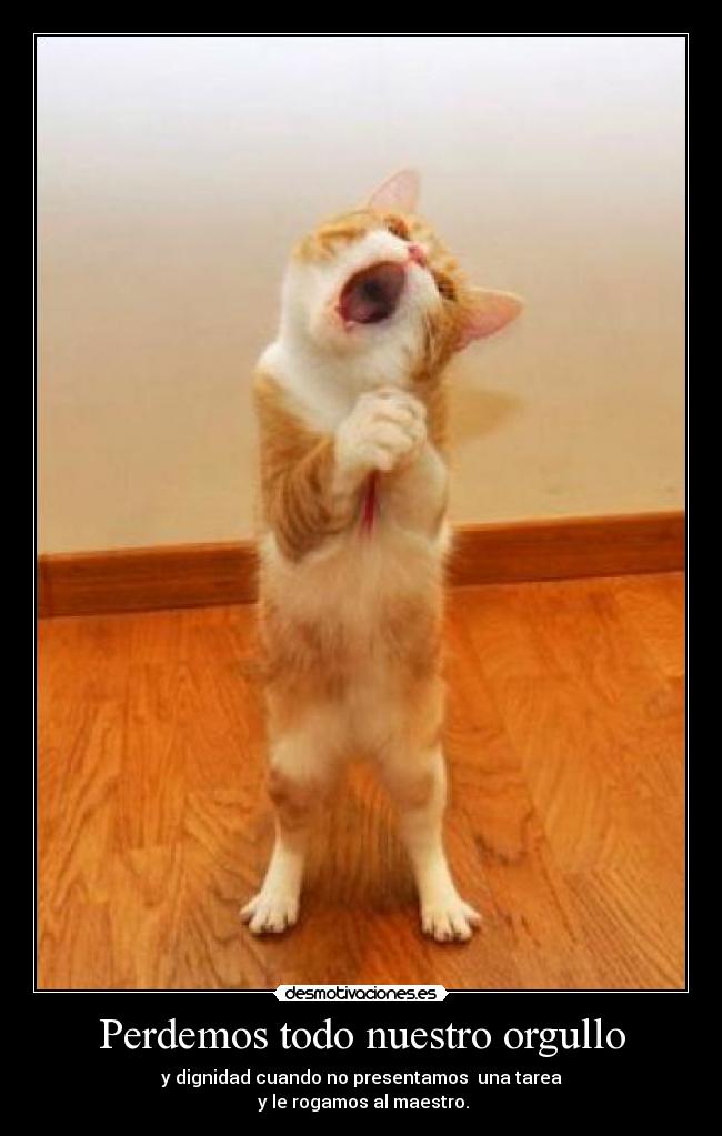 carteles perdemos nuestro orgullo dignidad desmotivaciones