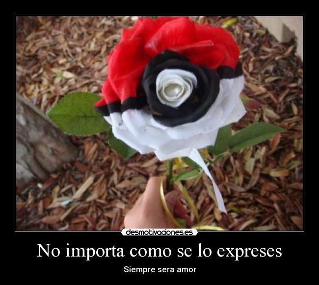 No importa como se lo expreses - Siempre sera amor