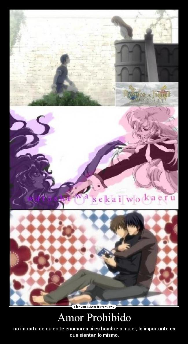 Amor Prohibido - 