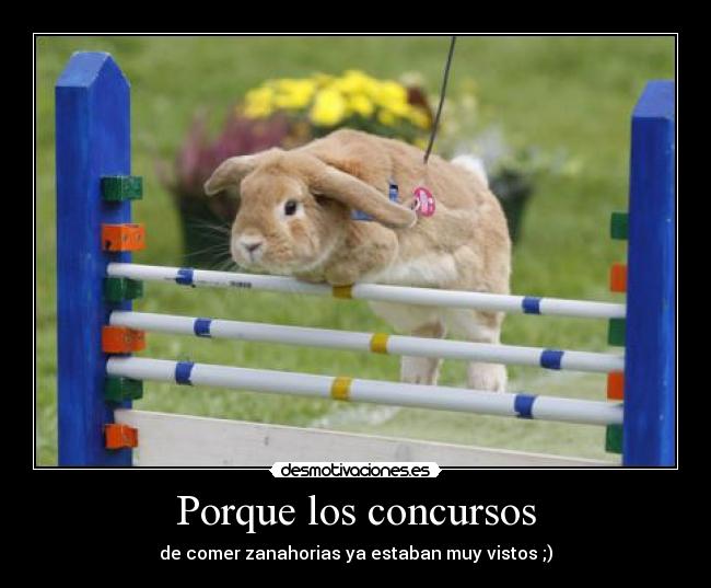 Porque los concursos - de comer zanahorias ya estaban muy vistos ;)
