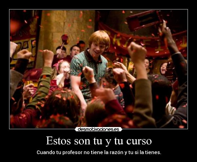 Estos son tu y tu curso -