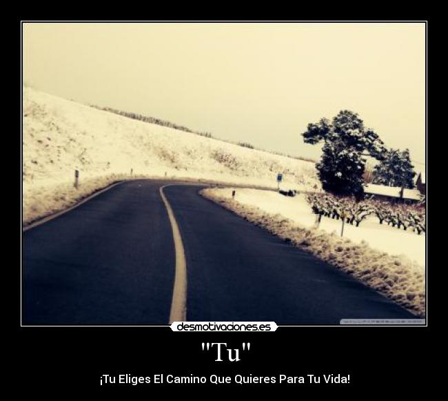 Tu - ¡Tu Eliges El Camino Que Quieres Para Tu Vida!