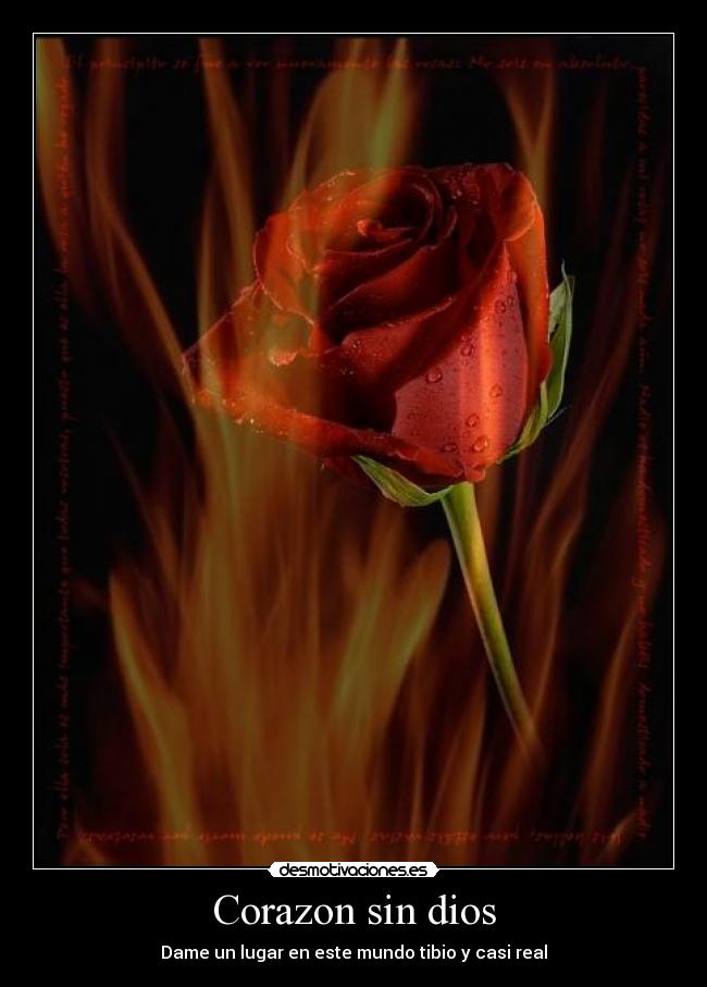 carteles corazon dios suenos esperanzas desmotivaciones