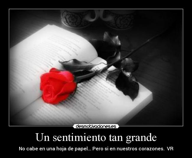 Un sentimiento tan grande - 
