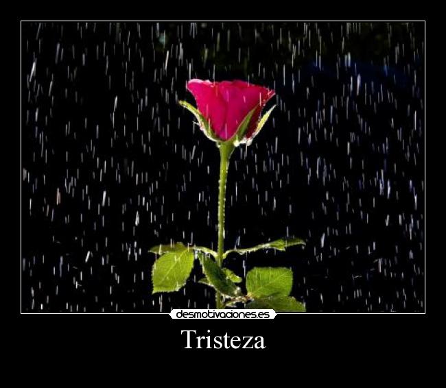 Tristeza - 