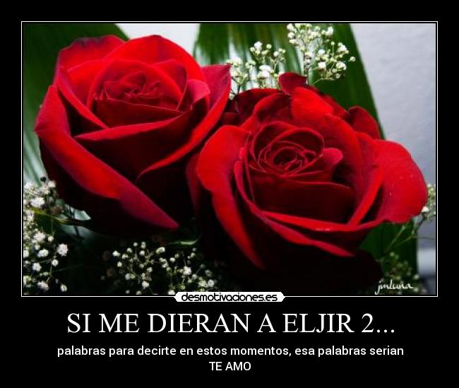 carteles palabras desmotivaciones