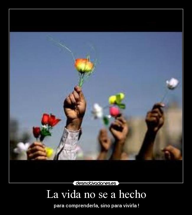 La vida no se a hecho - 