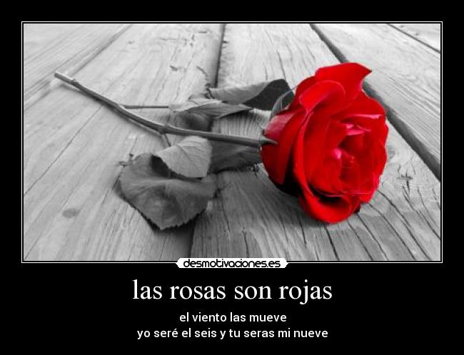 las rosas son rojas - el viento las mueve
yo seré el seis y tu seras mi nueve