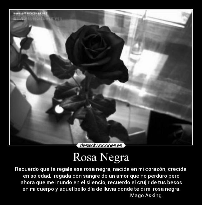Rosa Negra - Recuerdo que te regale esa rosa negra, nacida en mi corazón, crecida
en soledad, regada con sangre de un amor que no perduro pero
ahora que me inundo en el silencio, recuerdo el crujir de tus besos
en mi cuerpo y aquel bello día de lluvia donde te di mi rosa negra.
Mago Asking.